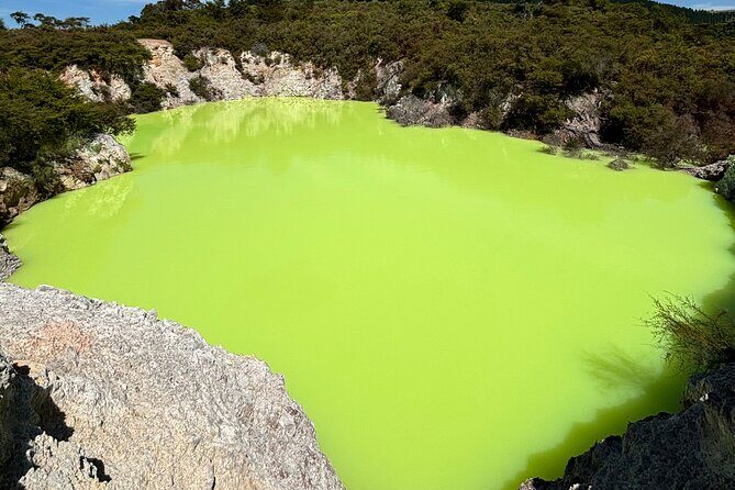 Rotorua: WaiOtapu & Redwood forest & Blues springs from Auckland - Key Points