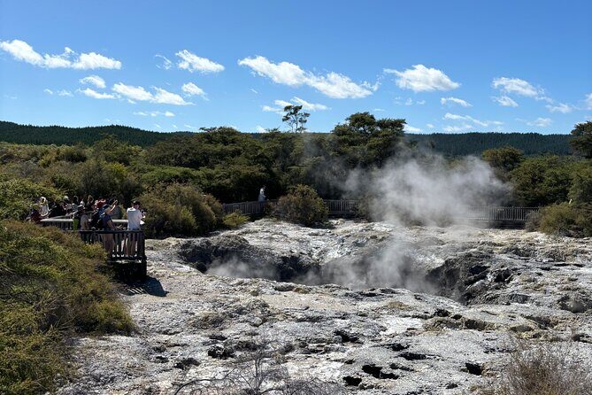 Rotorua: WaiOtapu & Redwood forest & Blues springs from Auckland - A Day Packed With Natural Wonders and Cultural Charm