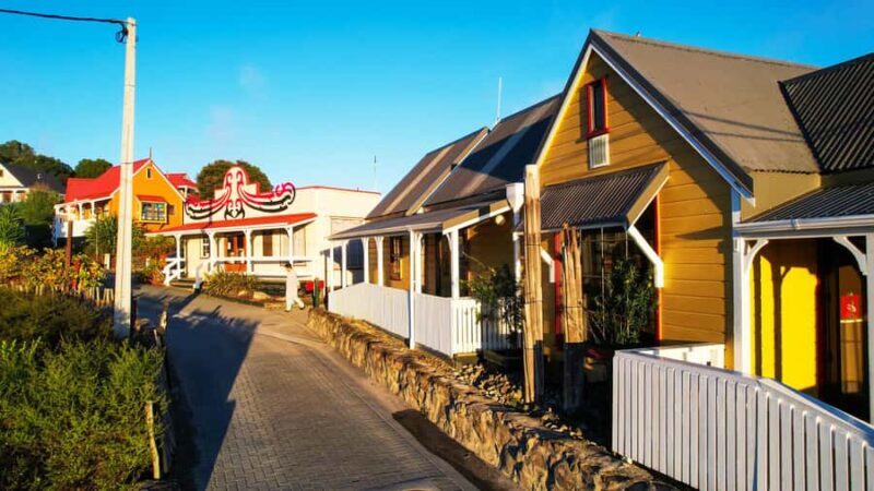 Rotorua: Whakarewarewa Village Guided Tour - What Makes This Tour Special