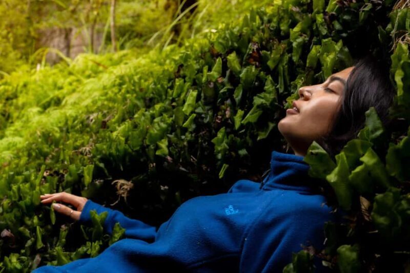 Rotorua: Whirinaki Forest Guided Tour with Spa Entry - Spa and Wellness Experience at Wai Ariki