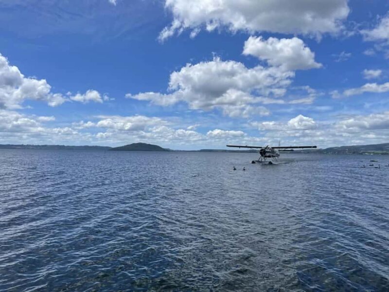 Rotorua: White Island, Mount Tarawera & Waimangu Volcanic - Key Points