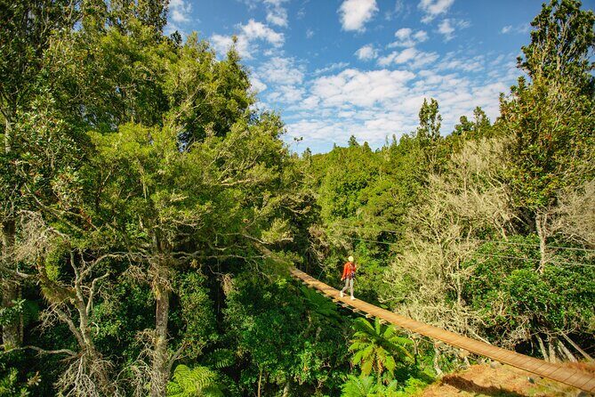 Rotorua Ziplines - Okere Falls Experience - Who Should Consider This Tour?