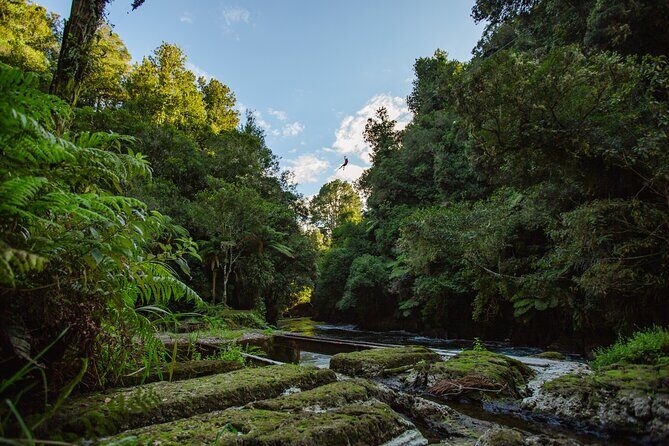 Rotorua Ziplines - Okere Falls Experience - The Sum Up