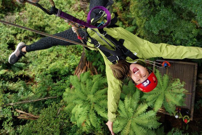 Rotoruas Ultimate Zipline: 6 ziplines, 400 m Tandem, Cliff Walk - Key Points