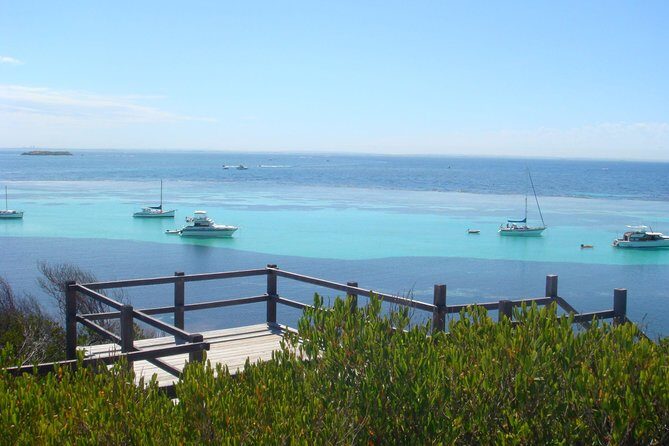 Rottnest Bayseeker Bus Tour from Hillarys Boat Harbour - A Practical Introduction to the Rottnest Bayseeker Bus Tour