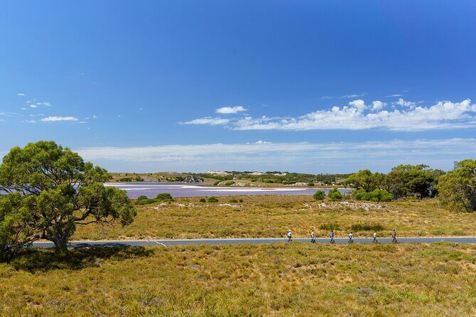Rottnest Coastal Explorer Tour - Who Will Love This Tour?