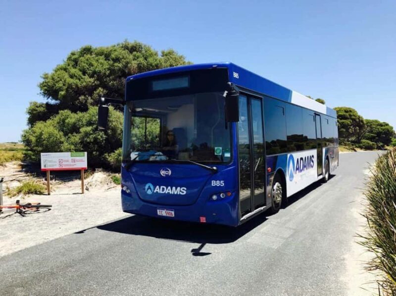 Rottnest Grand Island Package with Ferry, Tour & Light Lunch - Key Points