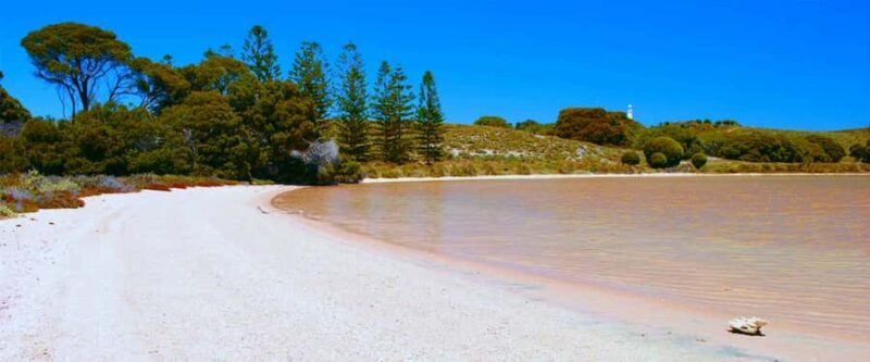 Rottnest Grand Island Package with Ferry, Tour & Light Lunch - What Makes This Tour Stand Out?