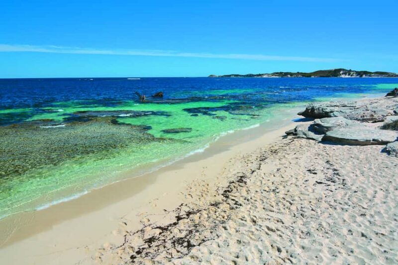 Rottnest Grand Island Package with Ferry, Tour & Light Lunch - Who Should Consider This Tour?