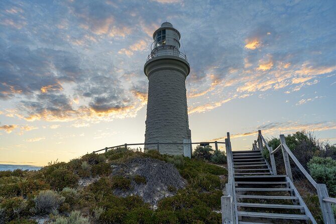 Rottnest Island 90-minute E-Rickshaw Adventure with Tour Guide - What Travelers Say