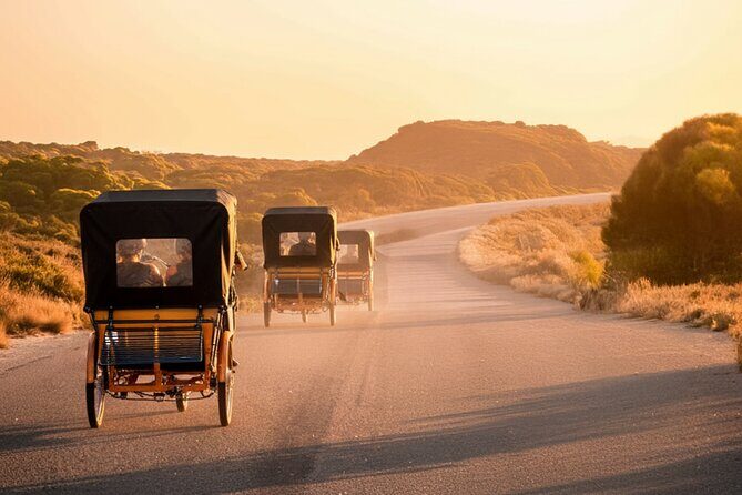 Rottnest Island 90-minute E-Rickshaw Adventure with Tour Guide - The Sum Up