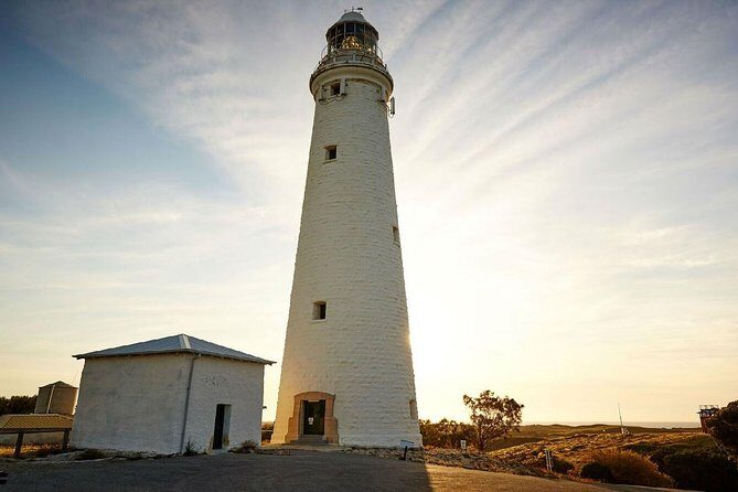 Rottnest Island All-Inclusive Grand Island Tour from Perth - Key Points