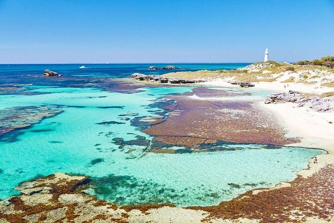 Rottnest Island Bayseeker Day Trip from Fremantle - Who Should Consider This Tour?