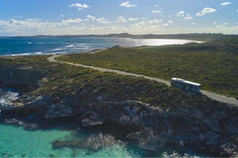 Rottnest Island Ferry and 1.75 Hr Bus Tour - Exploring the Rottnest Island Ferry and 1.75 Hr Bus Tour — A Practical Review