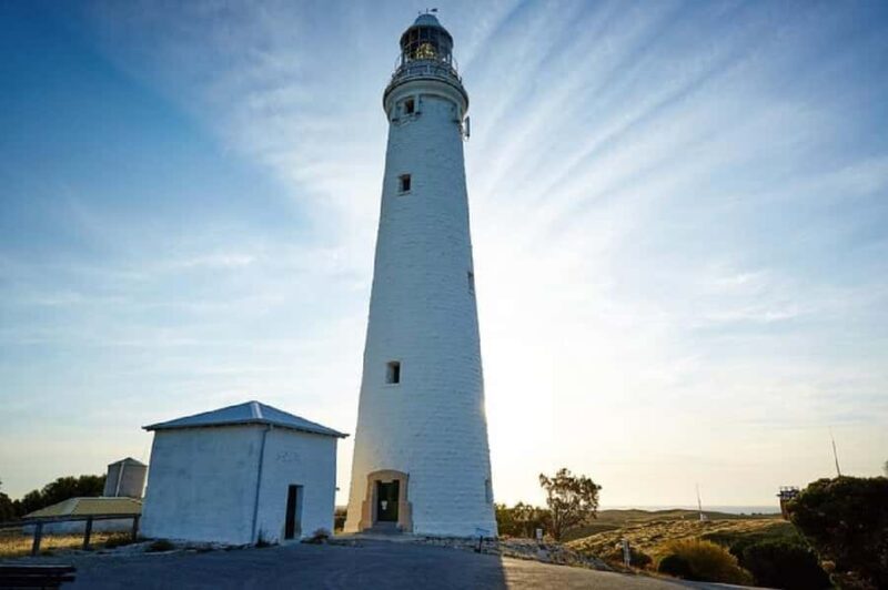 Rottnest Island Ferry and 1.75 Hr Bus Tour - The Sum Up