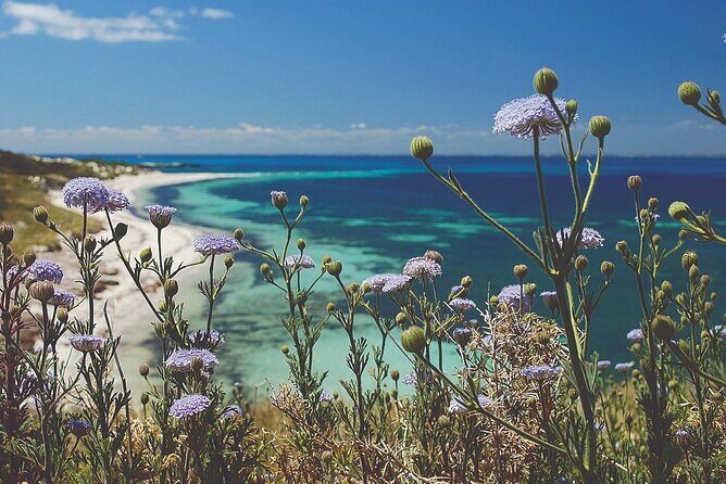 Rottnest Island Full-Day Trip With Guided Island Tour From Perth - Key Points
