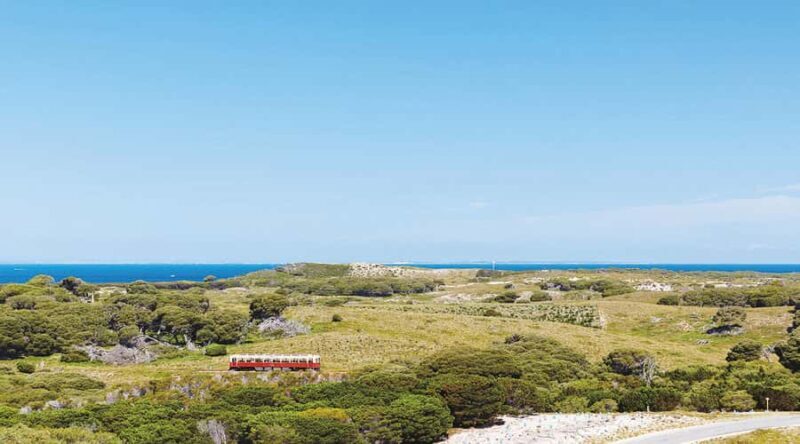 Rottnest Island: Grand Bus and Train Tour with Lunch - The Sum Up