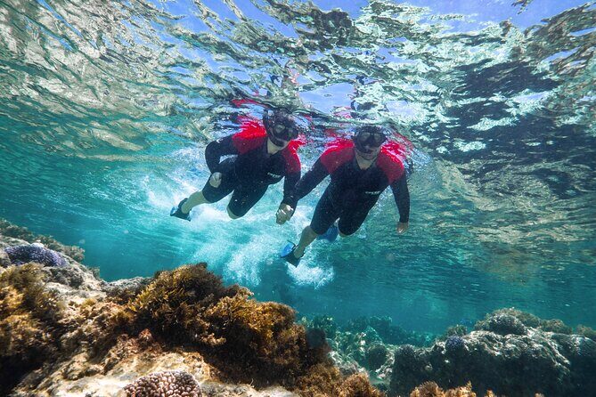 Rottnest Island Guided Snorkel Boat Experience - Practical Tips for Travelers
