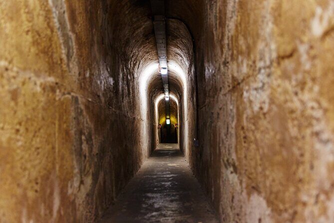 Rottnest Island Historical Train and Tunnel Tour from Hillarys Boat Harbour - Practical Considerations