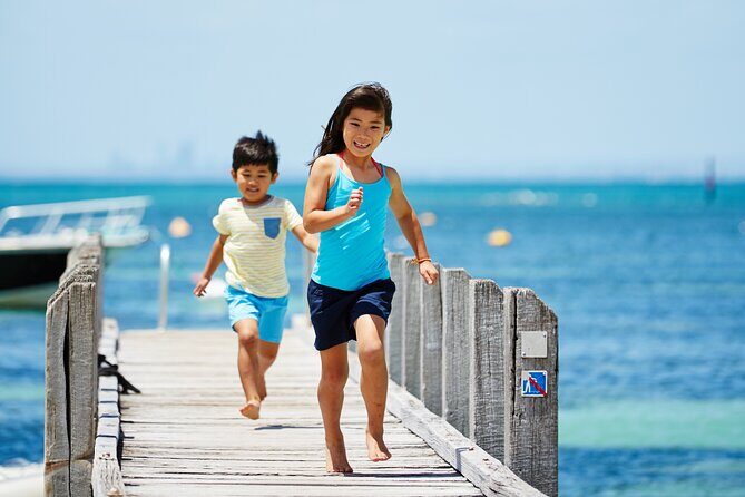 Rottnest Island Roundtrip Fast Ferry from Hillarys Boat Harbour - The Itinerary in Detail — What to Expect