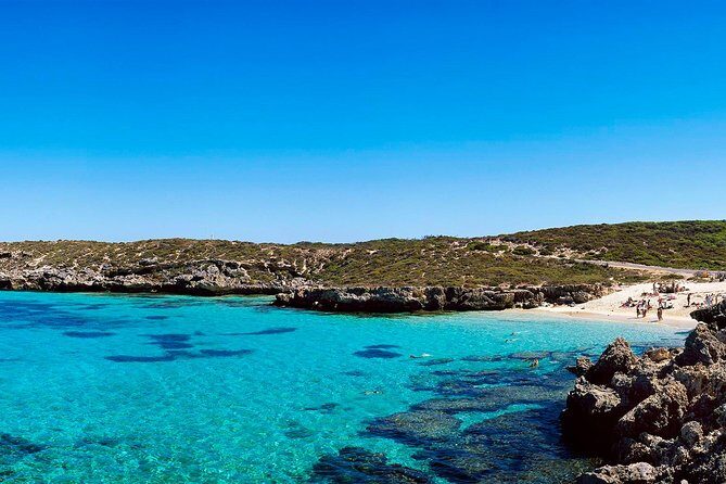Rottnest Island Roundtrip Fast Ferry from Hillarys Boat Harbour - Authentic Traveler Perspectives