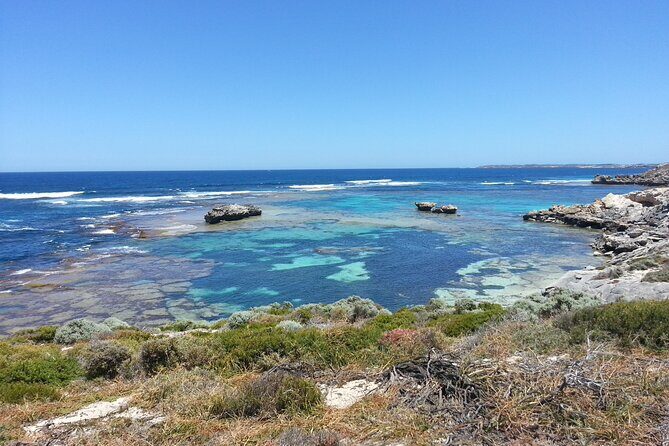 Rottnest Island Scenic Flight or 1/2 Day stopover - Analyzing the Value