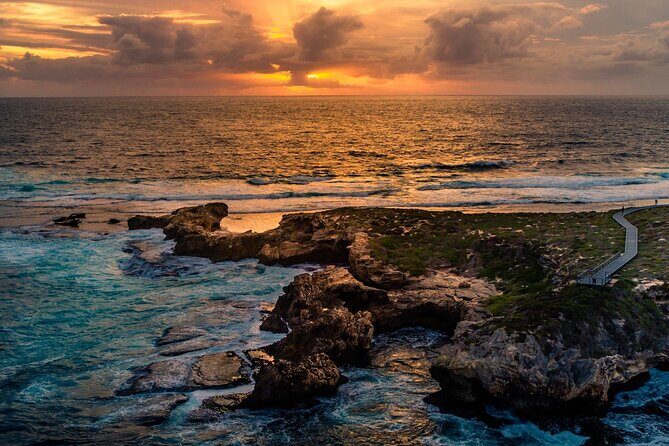 Rottnest Island Seals Sunset and West End Bus Tour - Key Points