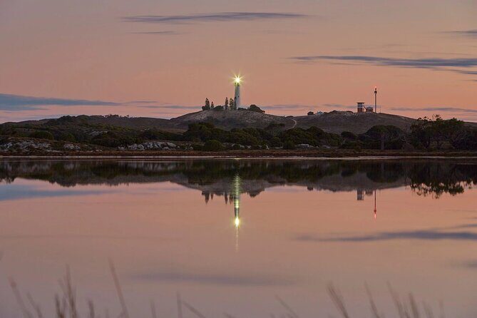 Rottnest Island Seals Sunset and West End Bus Tour - The Experience of Wildlife and Sunset