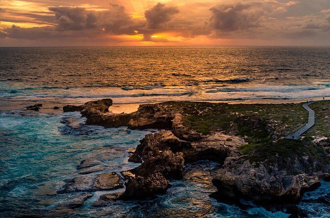 Rottnest Island Seals Sunset and West End Bus Tour - Cost and Value