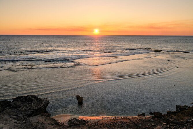 Rottnest Island Seals Sunset and West End Bus Tour - The Sum Up