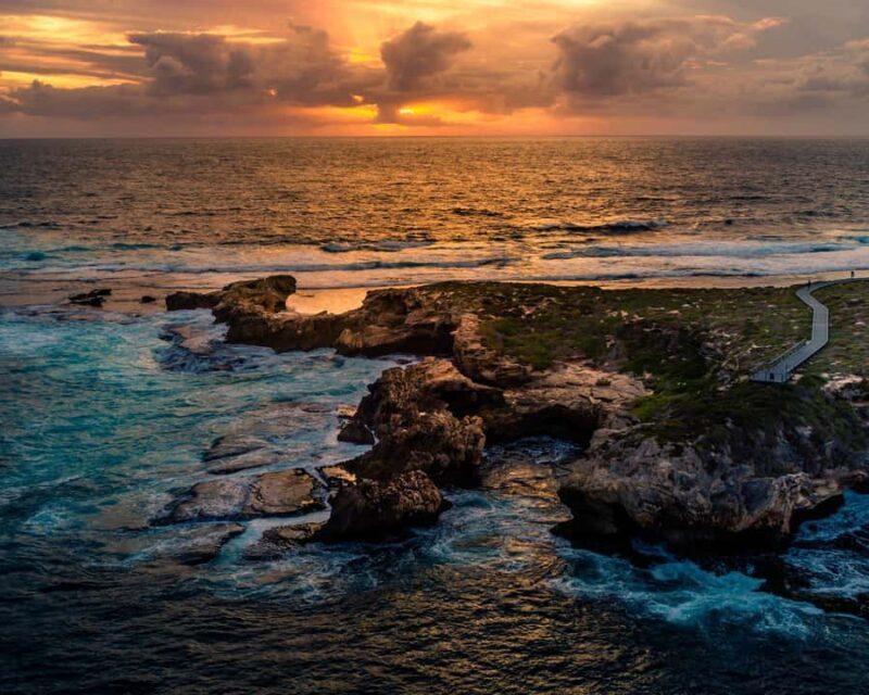 Rottnest Island Seals, Sunset & West End Bus Tour - Why This Tour Is a Good Value