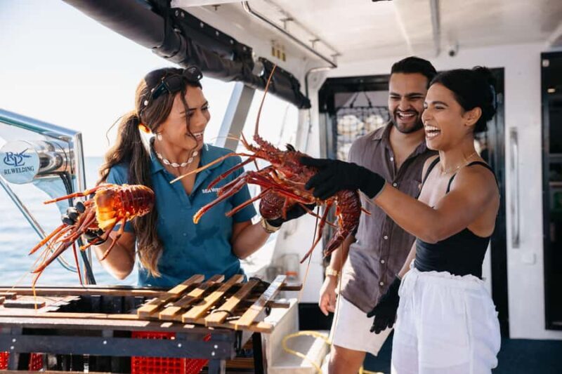 Rottnest: Luxe Island Seafood Cruise - Scenery and Water Activities
