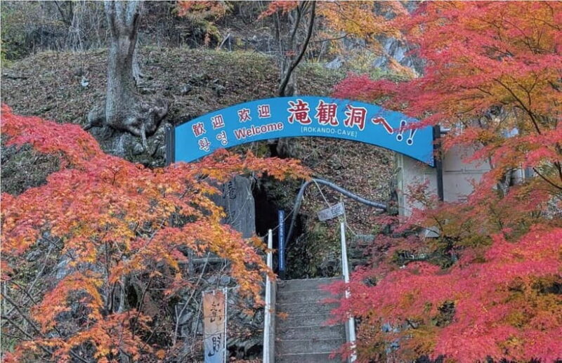 roukandou" Caveing Exploration Regular Course - An In-Depth Look at the Caveing Adventure