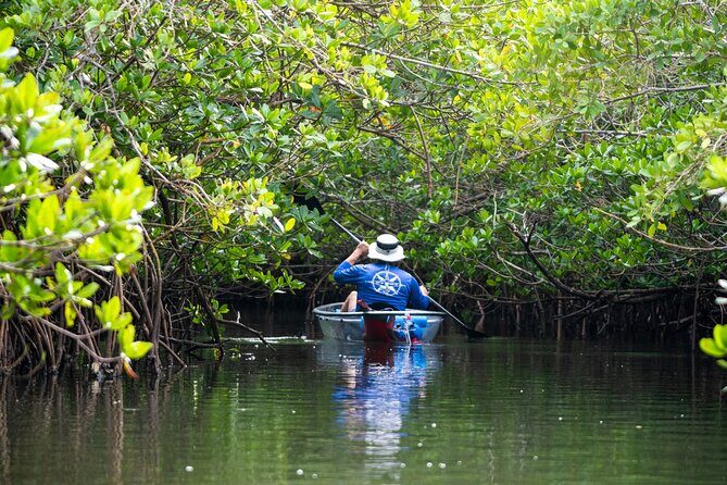 Round Island 2-Hour Glass Bottom Guided Kayak Eco Tour - Key Points