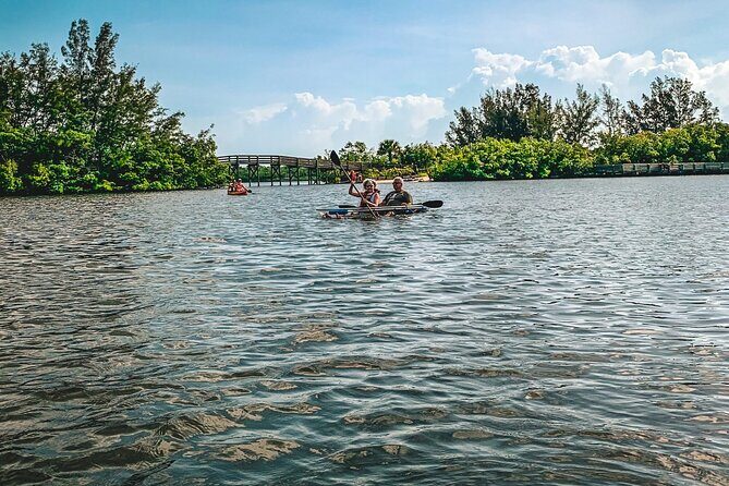 Round Island 2-Hour Glass Bottom Guided Kayak Eco Tour - An In-Depth Look at the Round Island Glass Bottom Kayak Tour