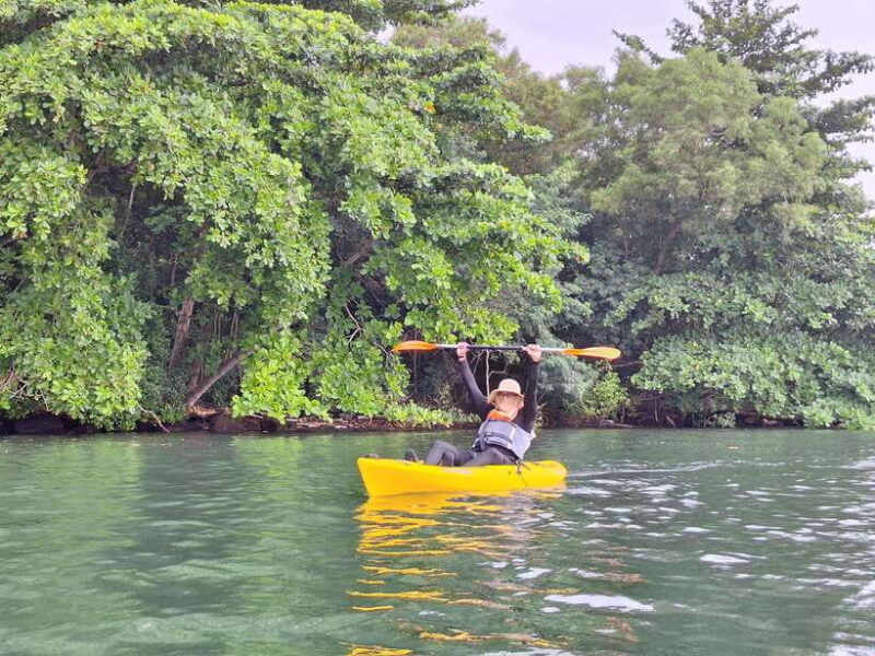 Round Ketam Kayaking at Pulau Ubin - The Experience: Realistic Expectations