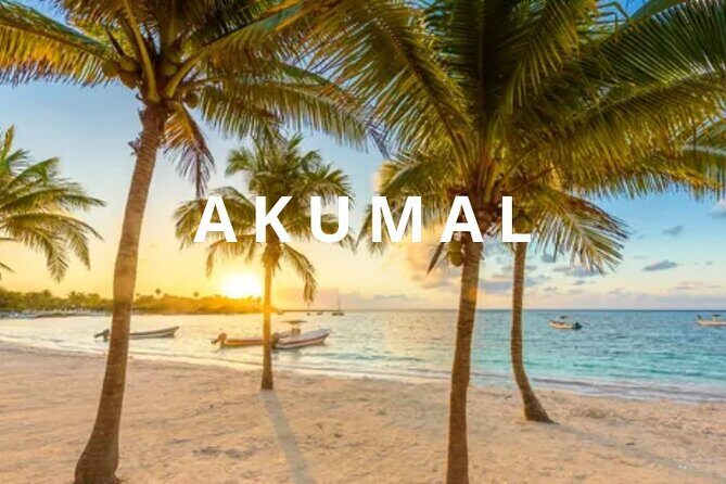 Round private transfer Airport- Akumal - Airport. - Key Points