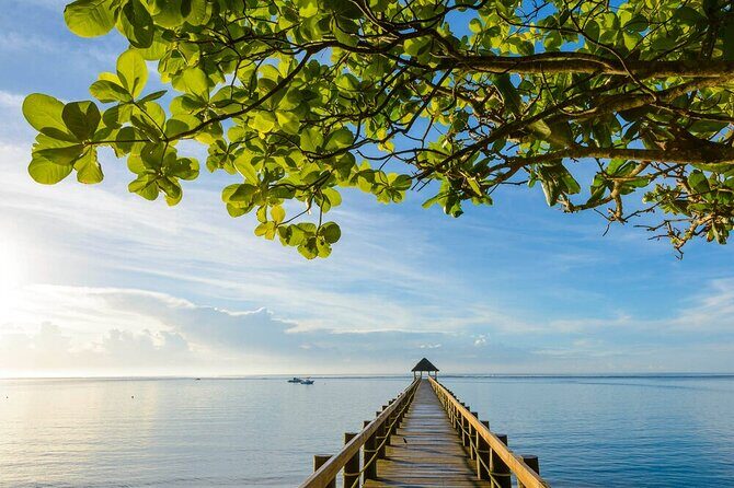 Round The Island Day Trip Fiji- Viti Levu - Who Should Book This Tour?
