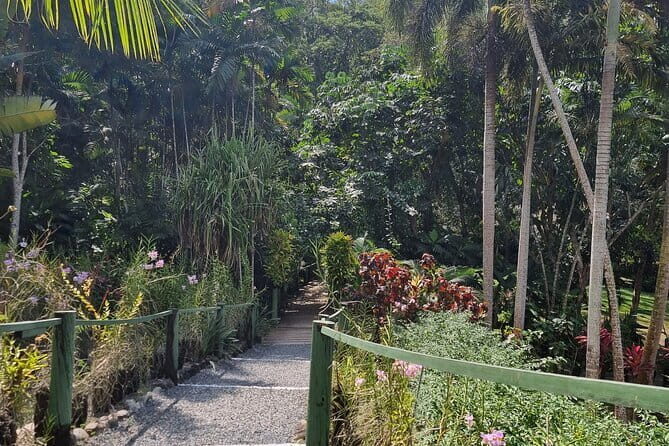 Round The Island Day Trip Fiji- Viti Levu - FAQ