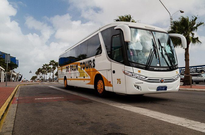 Round Trip Aruba Airport Transfer - The Sum Up