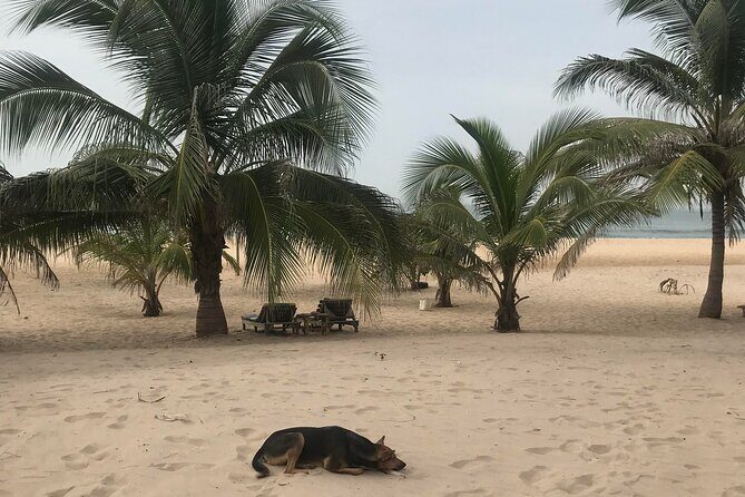 Round Trip Gambia - Crocodile Pool, School Visit & More! - FAQ
