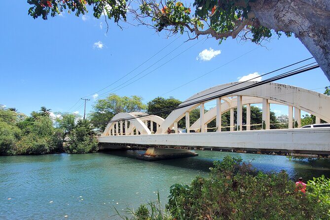 Round Trip North Shore Shuttle from Waikiki to Haleiwa Town / Haleiwa Harbor - A Deep Dive: What to Expect from the Round Trip North Shore Shuttle