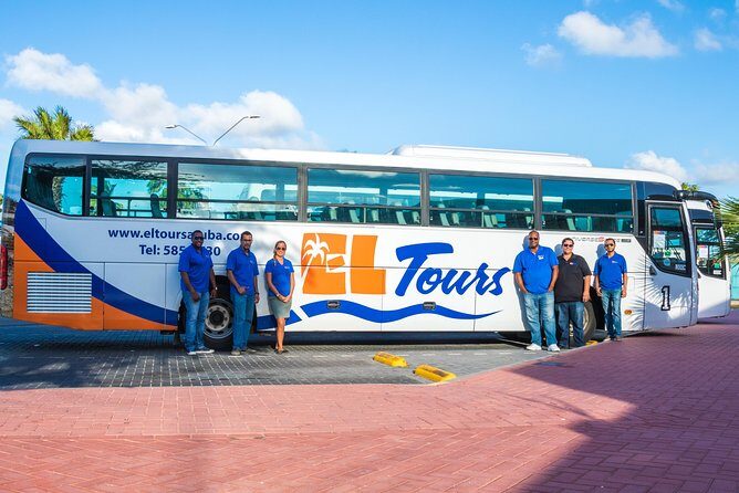 Round Trip Shared Airport Shuttle - Pricing and Value