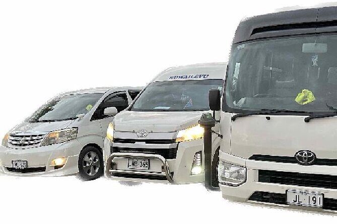 Round Trip Transfer-Nadi Airport to Denarau Island Resorts - Who Should Consider This Transfer?