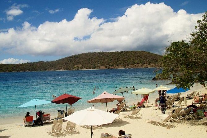 Round-Trip Transportation to Coral World Park and Coki Beach - Closing Thoughts