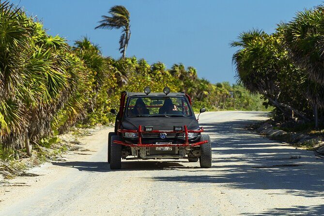 Route of Adventure: Punta Sur Park and Clear Boat Cozumel - Key Points