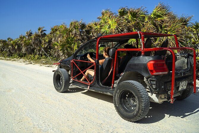 Route of Adventure: Punta Sur Park and Clear Boat Cozumel - The Sum Up: Is It Worth It?