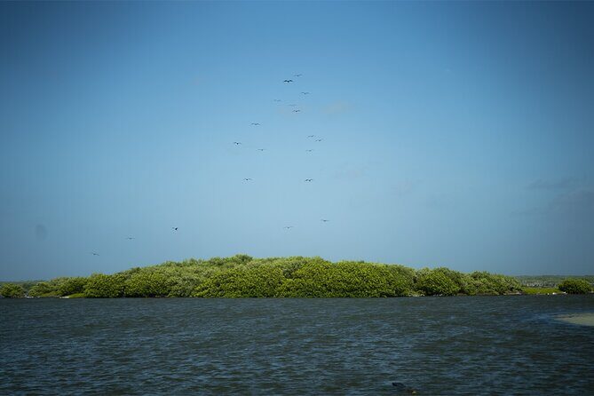Route of Adventure: Punta Sur Park and Clear Boat Cozumel - FAQ
