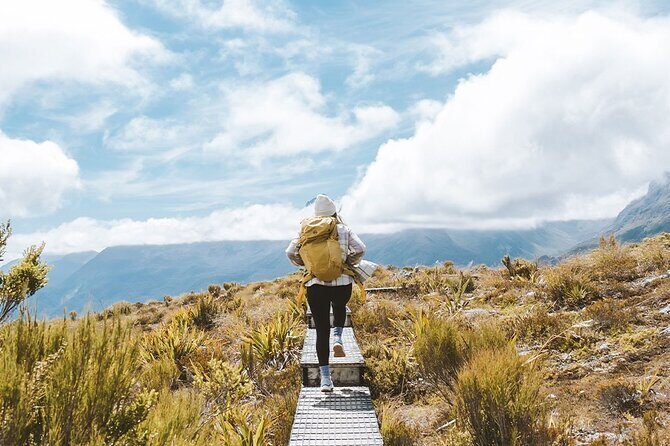 Routeburn Guided Day Hike from Te Anau with Lunch & Transport - Key Points
