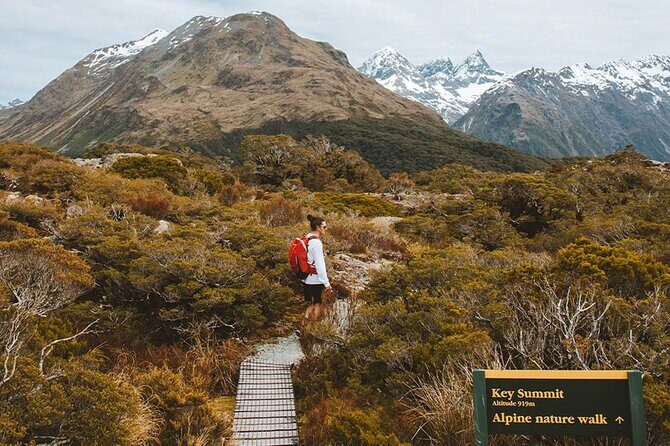 Routeburn Guided Day Hike from Te Anau with Lunch & Transport - The Sum Up
